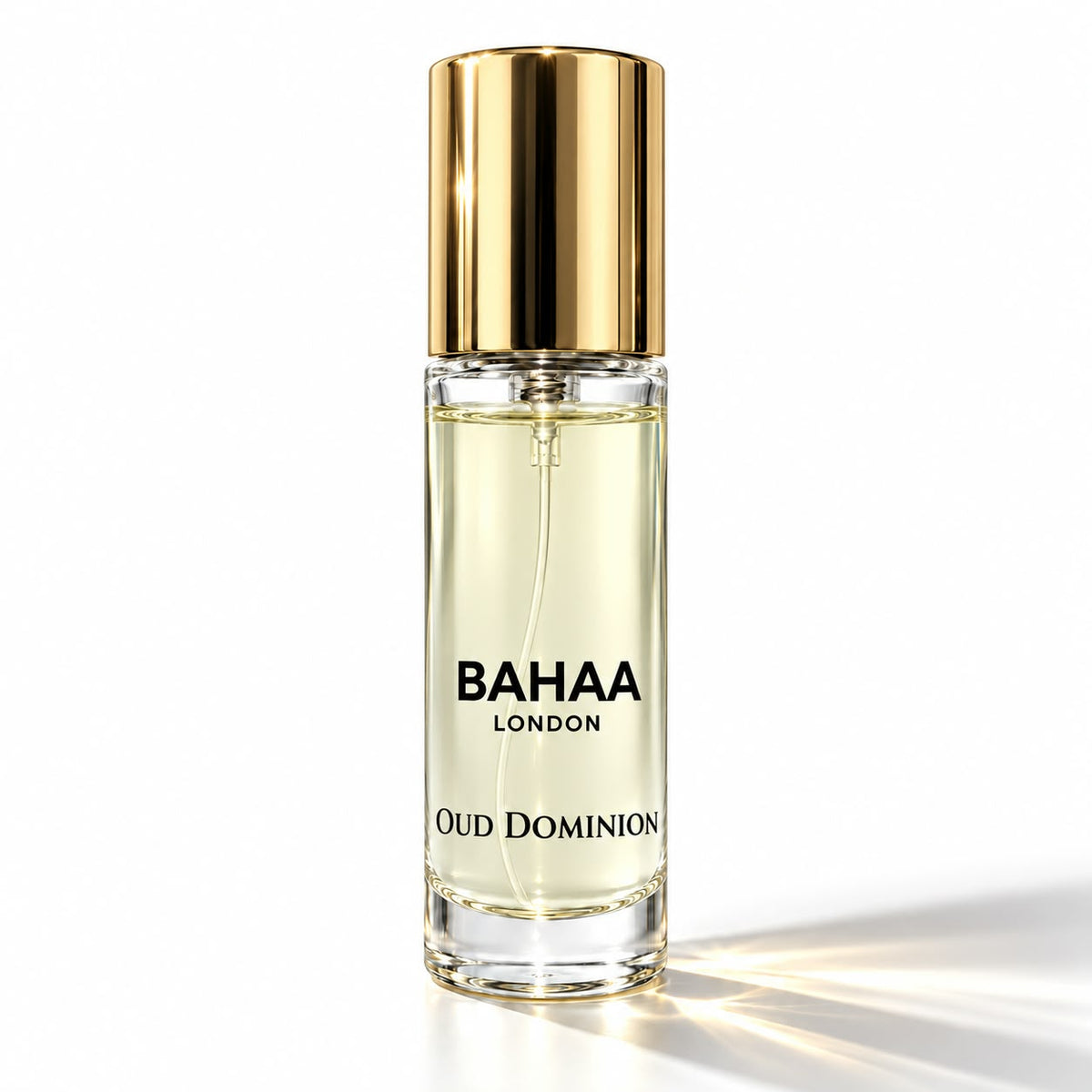 OUD DOMINION