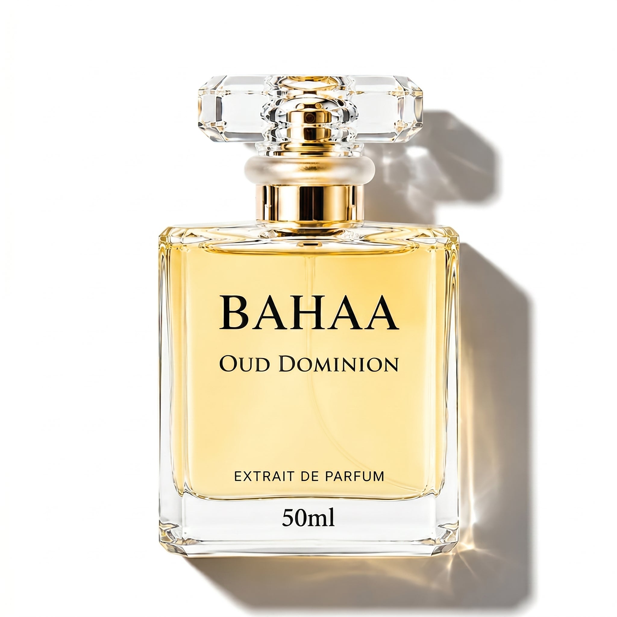 OUD DOMINION