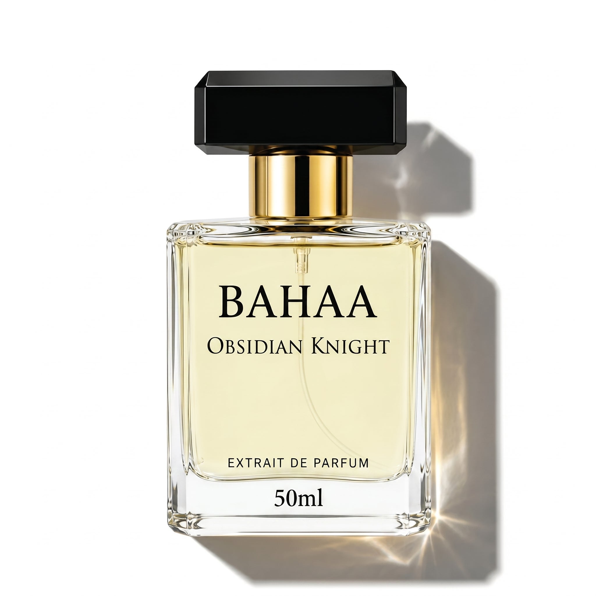 OBSIDIAN KNIGHT