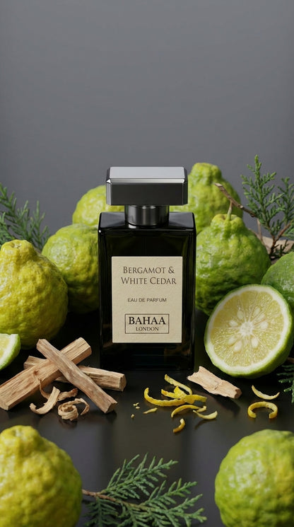 Bergamot & White Cedar